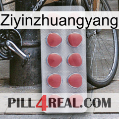 Ziyinzhuangyang 18